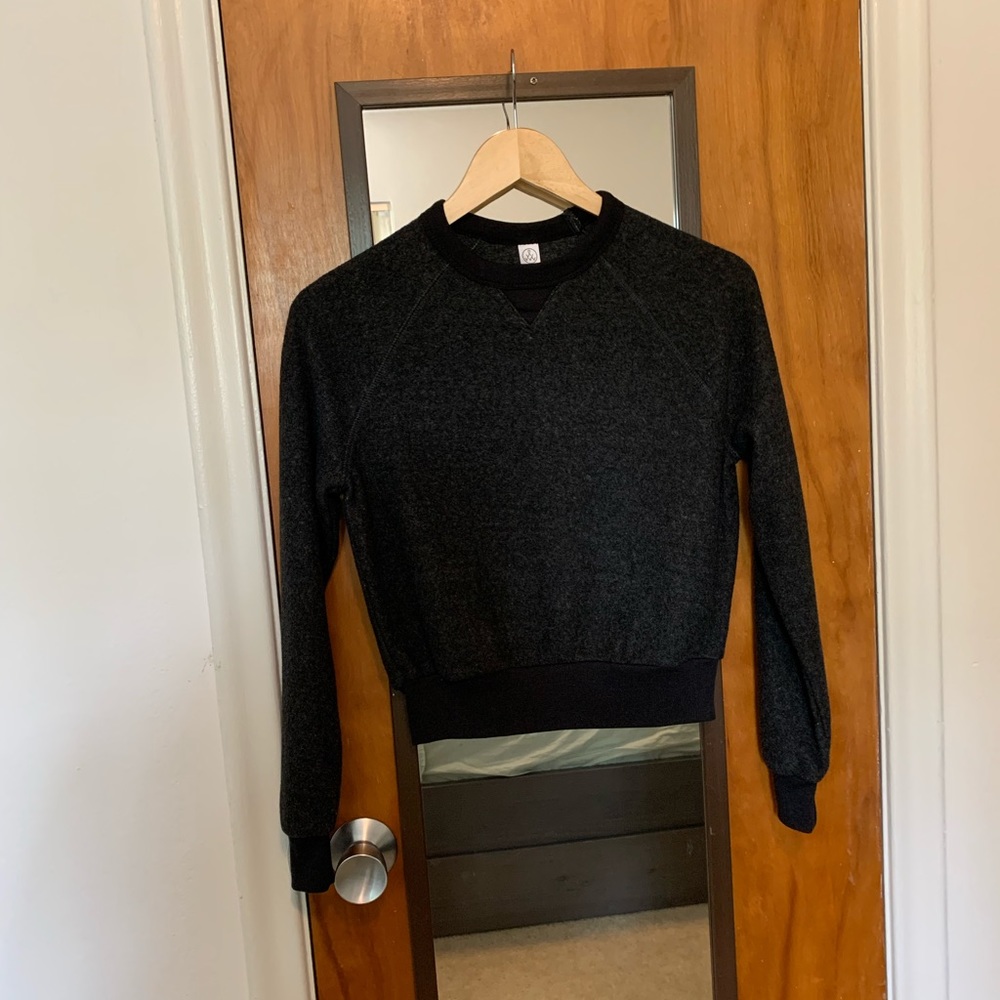 Alternative Apparel Eco-Teddy Crewneck Sweatshirt